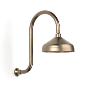 Cascade Gooseneck Shower